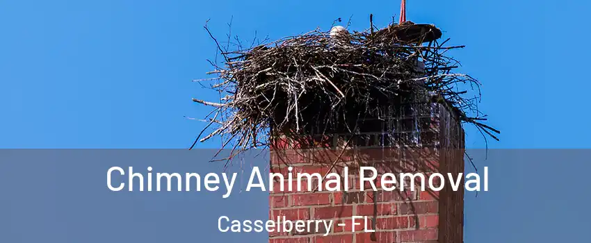 Chimney Animal Removal Casselberry - FL
