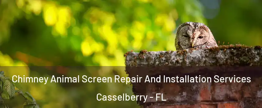  Chimney Animal Screen Repair And Installation Services Casselberry - FL