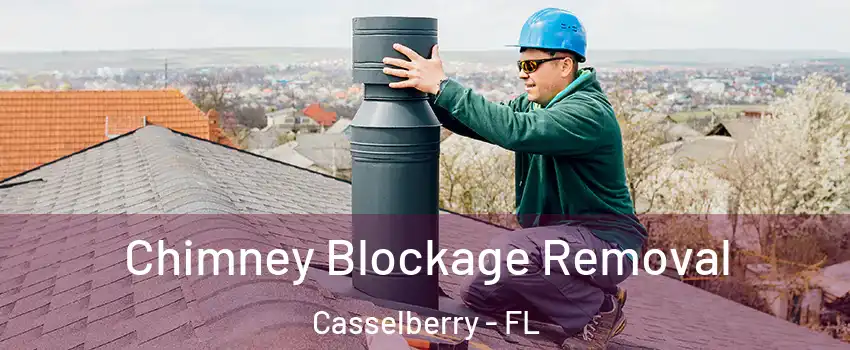  Chimney Blockage Removal Casselberry - FL