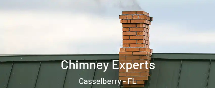  Chimney Experts Casselberry - FL