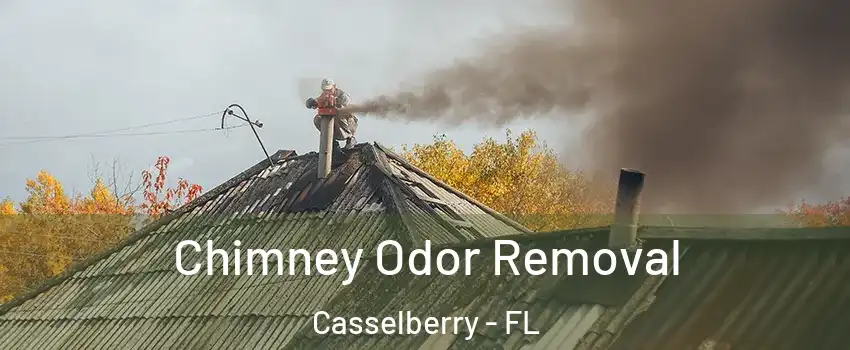  Chimney Odor Removal Casselberry - FL