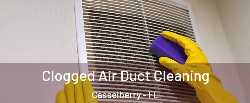  Clogged Air Duct Cleaning Casselberry - FL