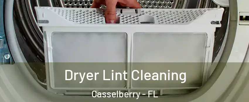  Dryer Lint Cleaning Casselberry - FL