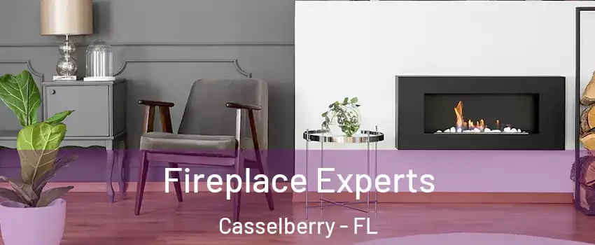  Fireplace Experts Casselberry - FL