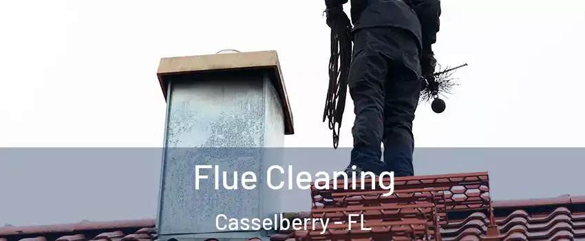  Flue Cleaning Casselberry - FL