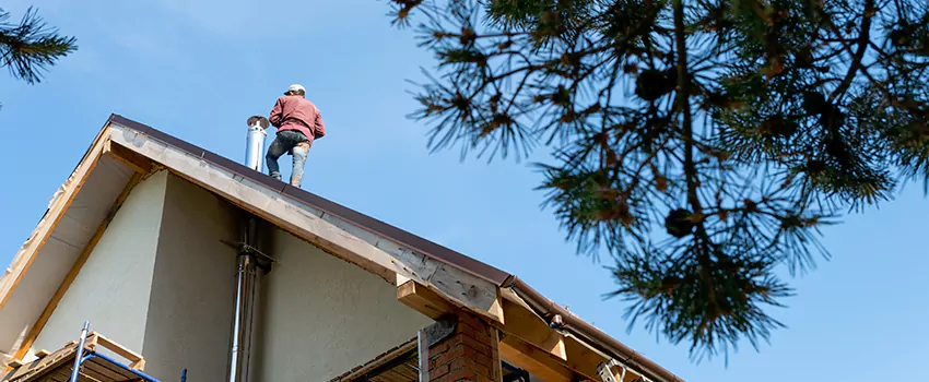 Birds Removal Contractors from Chimney in Casselberry, FL