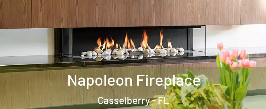  Napoleon Fireplace Casselberry - FL